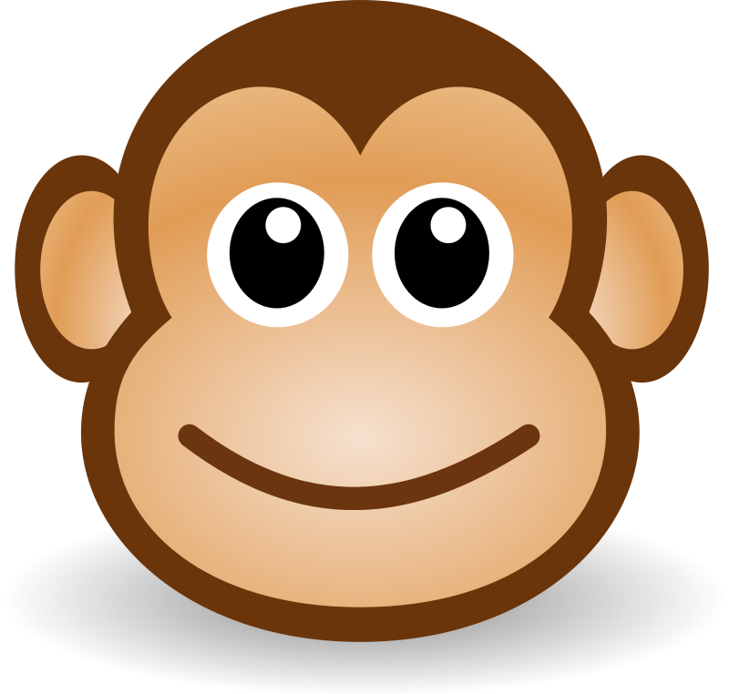 organ grinder monkey